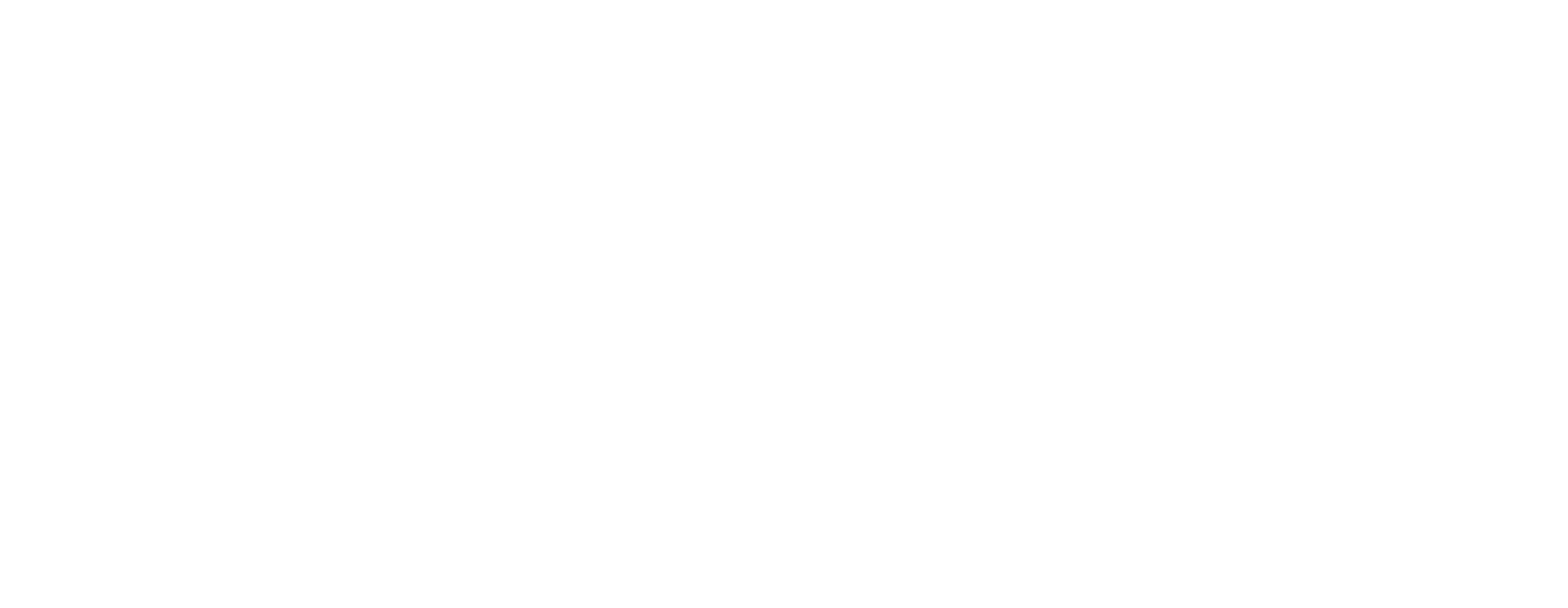 Voom Battery
